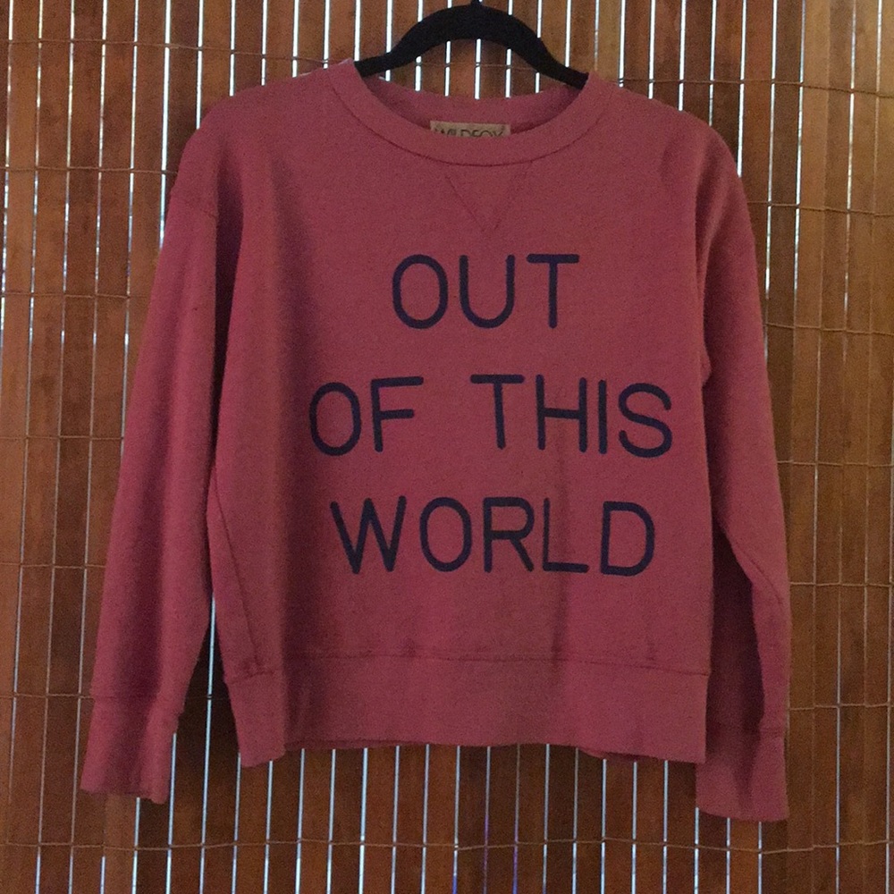 ⭐️ Out of this world 🌎 Wildfox pink sweatshirt